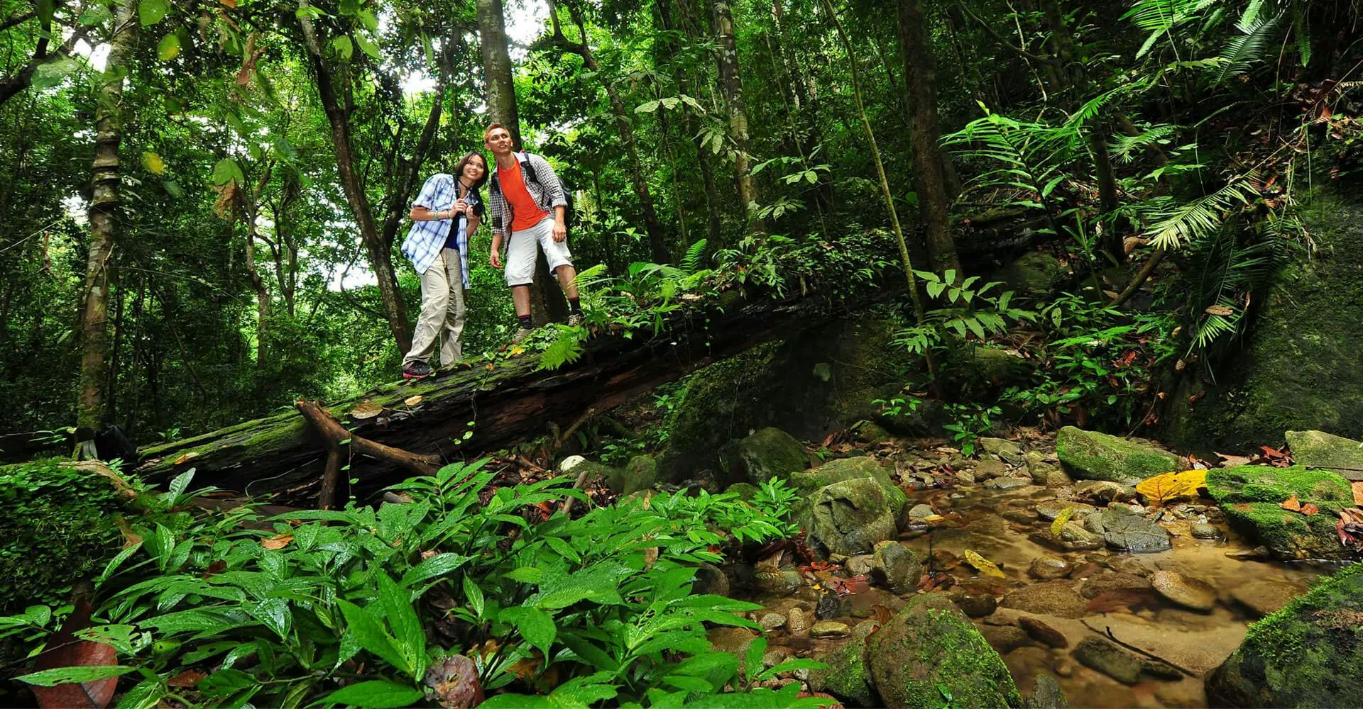 A trek through the rainforests of Makandawa